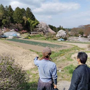 生産者ねぎ農家様